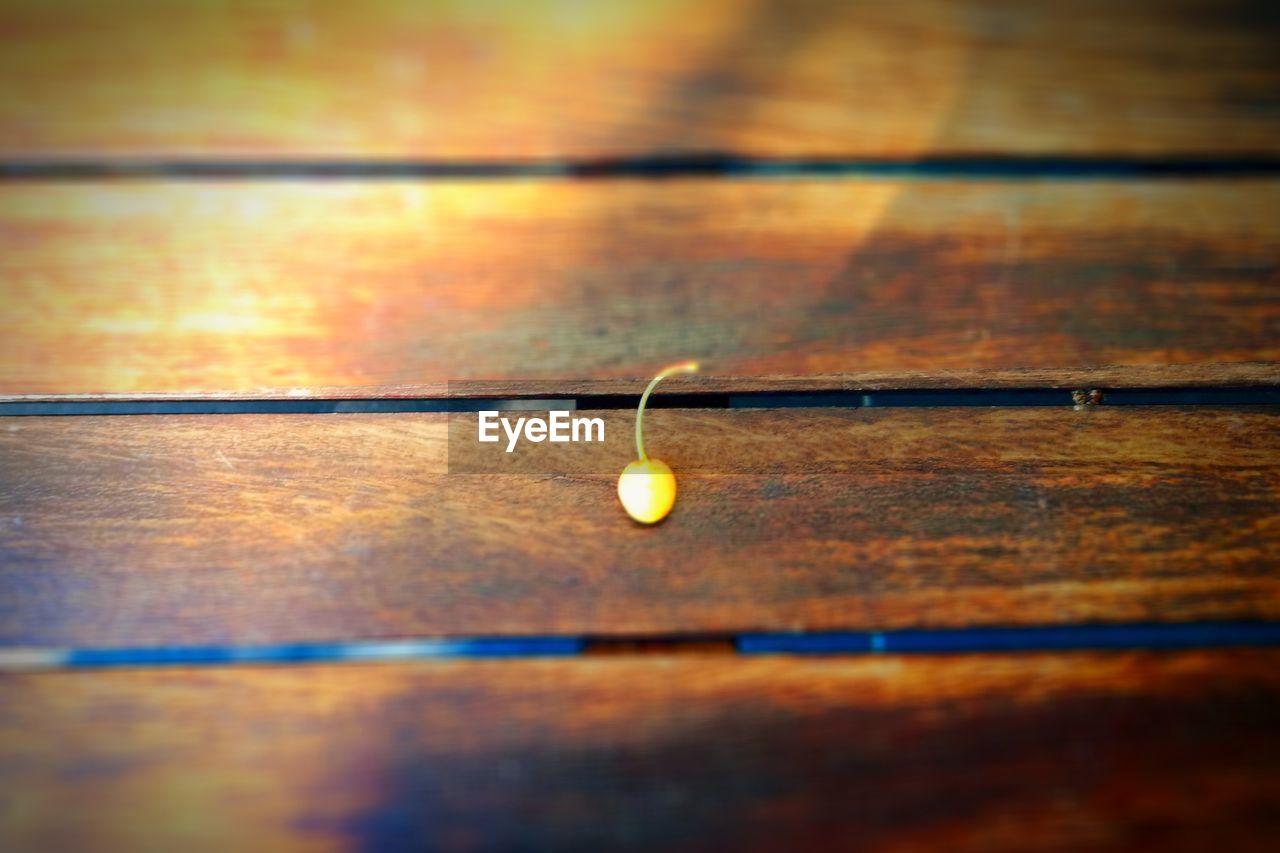 CLOSE-UP OF WATER ON WOOD