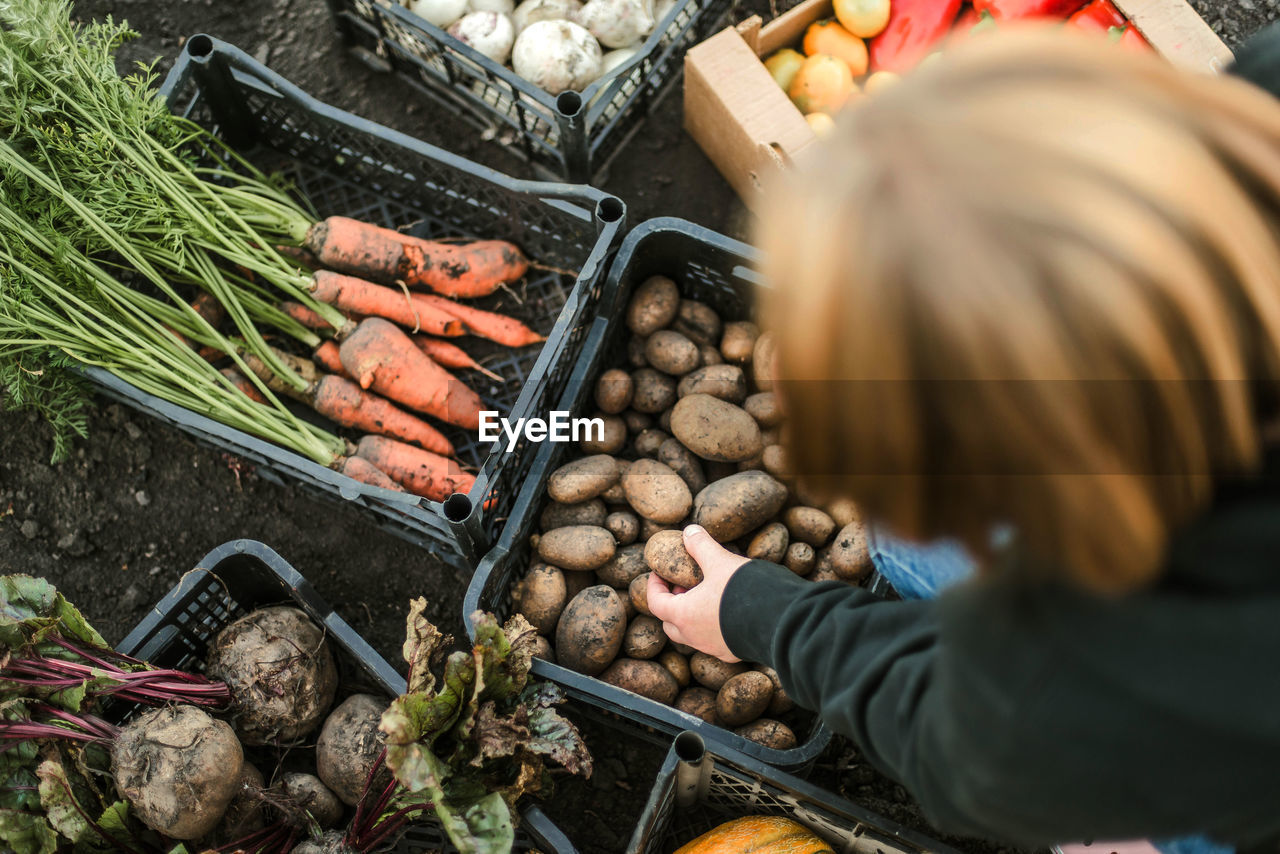 high angle view of vegetables for sale