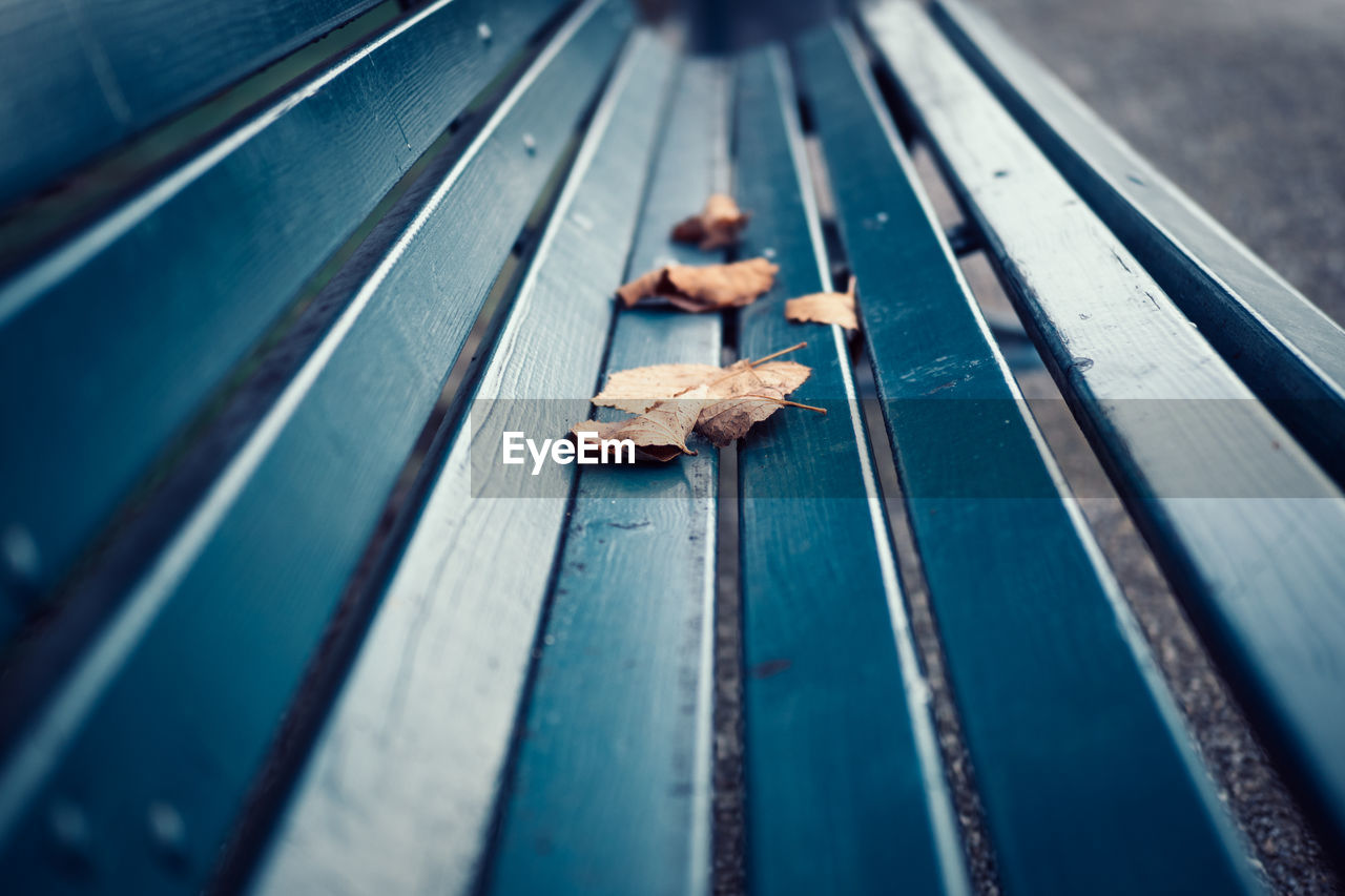 High angle view of dry leaf on wood