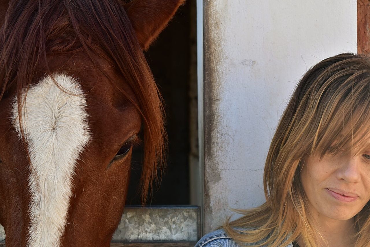 Close-up of young woman with brown horse