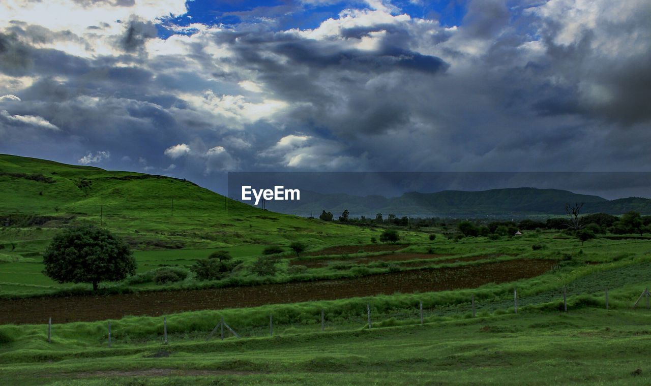 GREEN LANDSCAPE AGAINST CLOUDY SKY