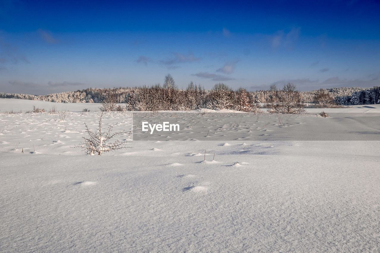 Frozen landscape against sky