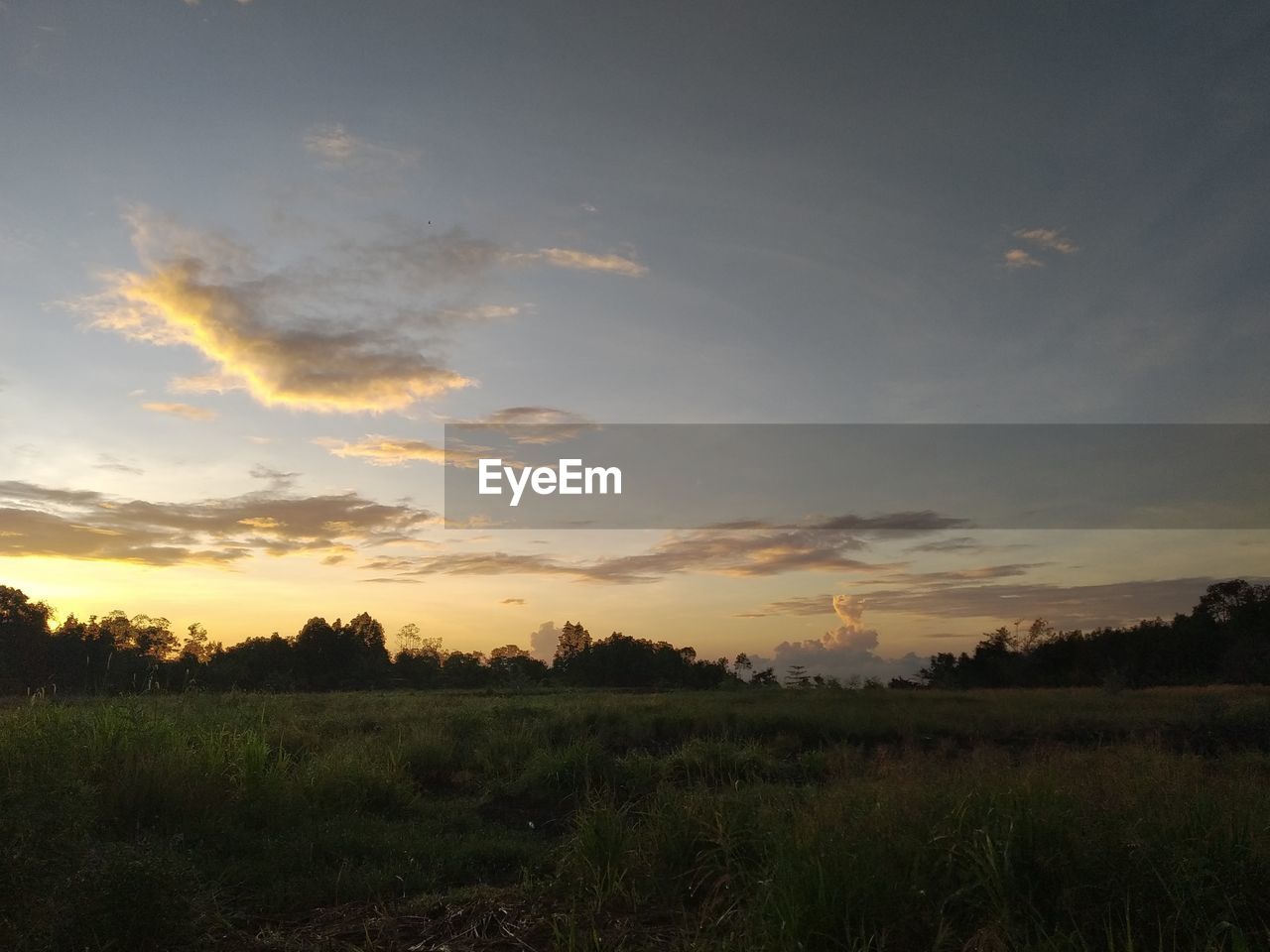 FIELD AGAINST SKY DURING SUNSET