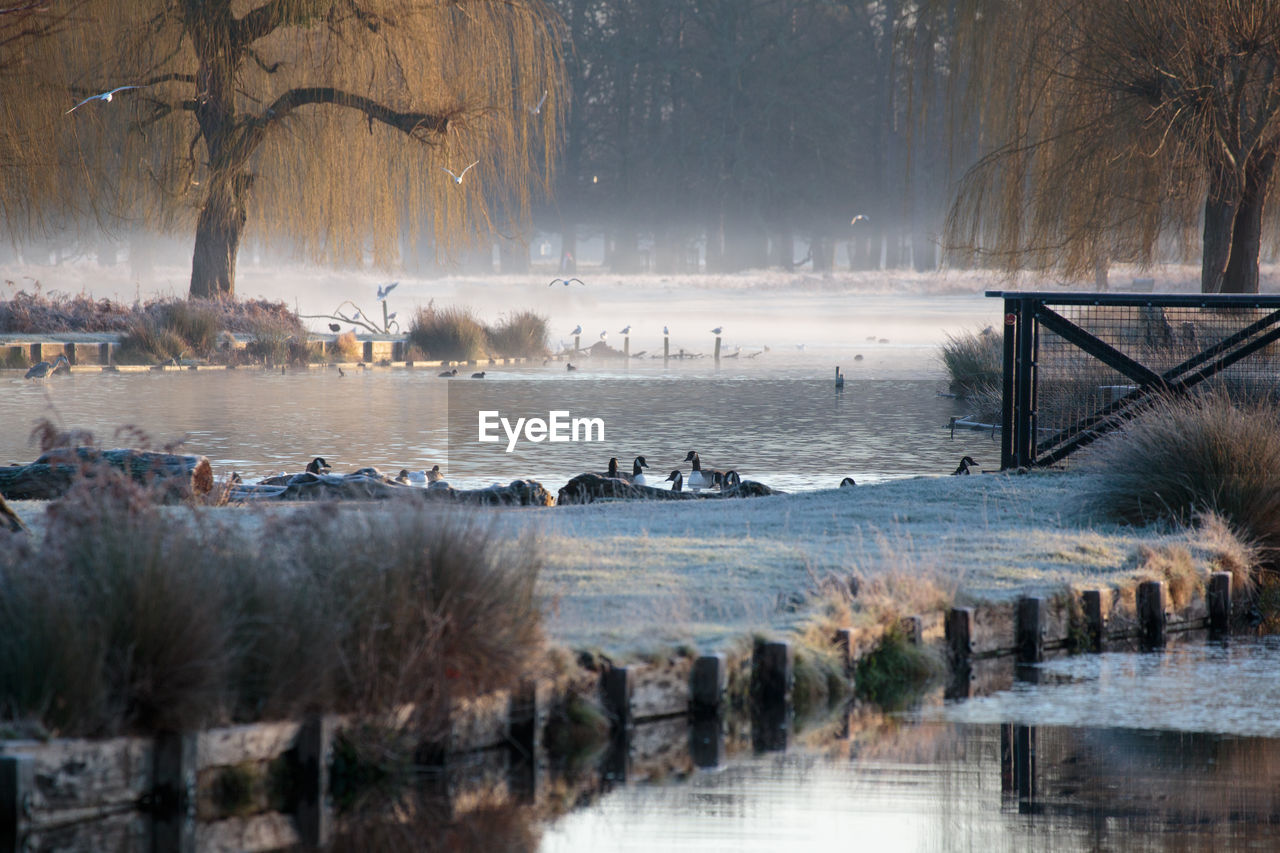 Scenic view of lake during winter