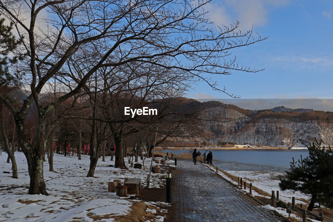 SCENIC VIEW OF SNOW COVERED LANDSCAPE