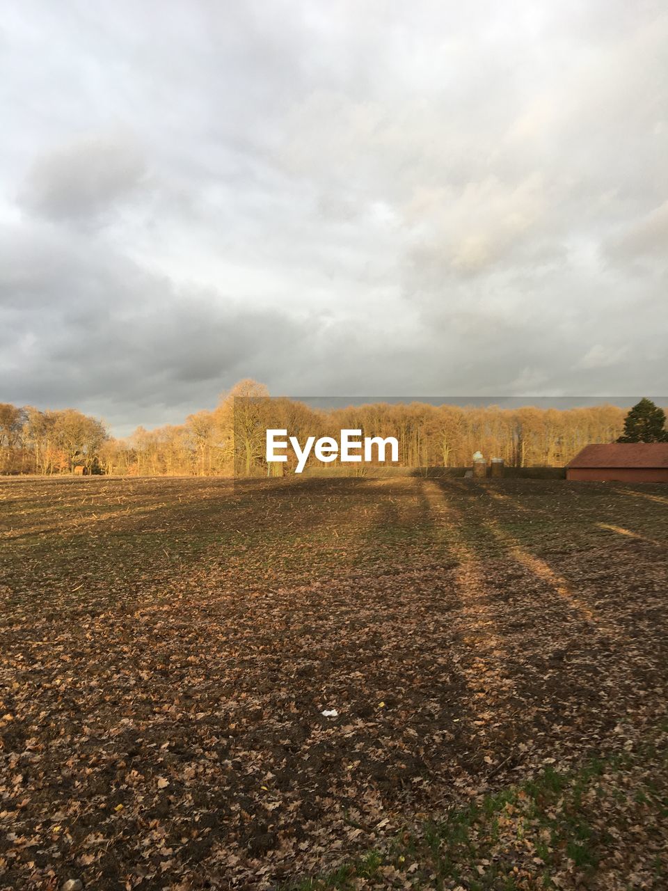 SCENIC VIEW OF FARM AGAINST SKY