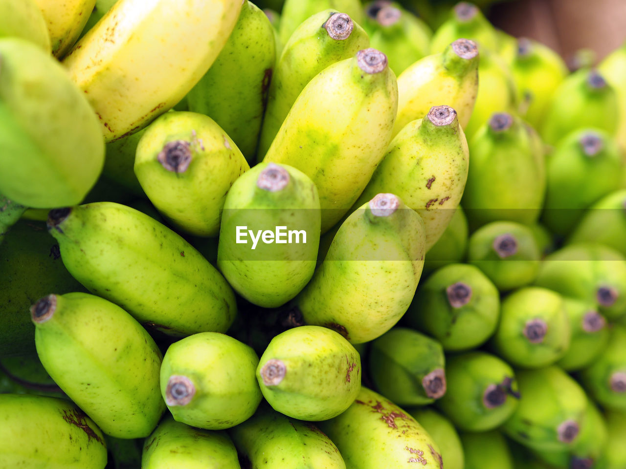 FRUITS FOR SALE