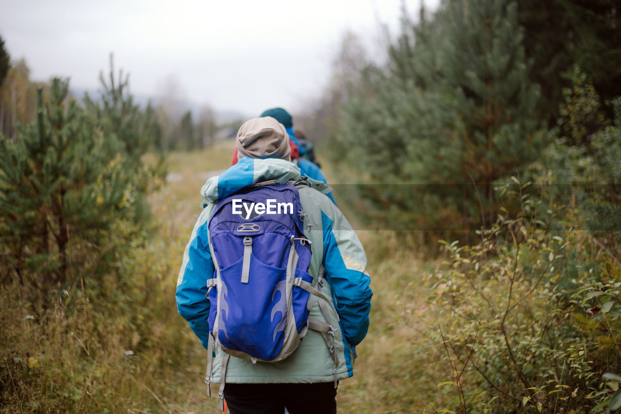 Rear view of people hiking in forest