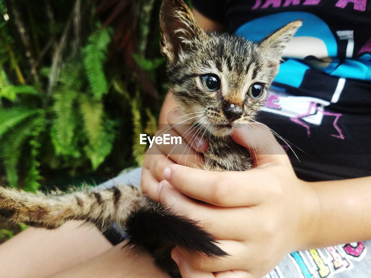 Midsection of child holding kitten