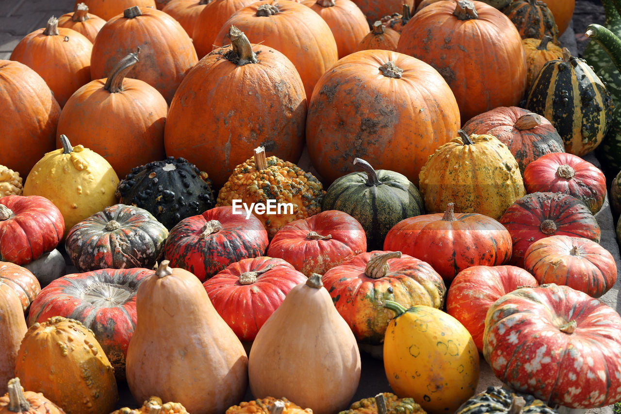 HIGH ANGLE VIEW OF PUMPKINS IN MARKET