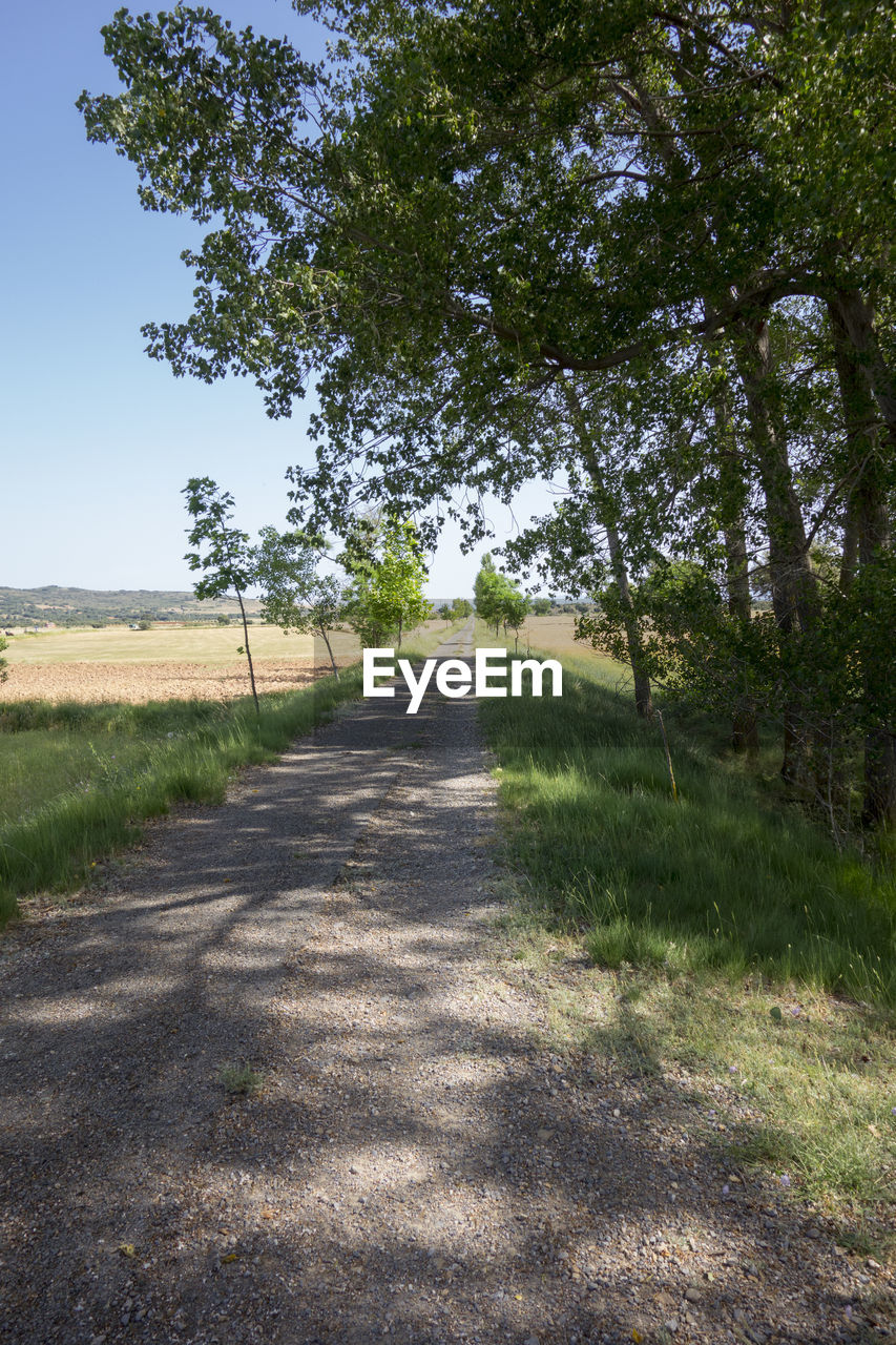 Road amidst field against clear sky