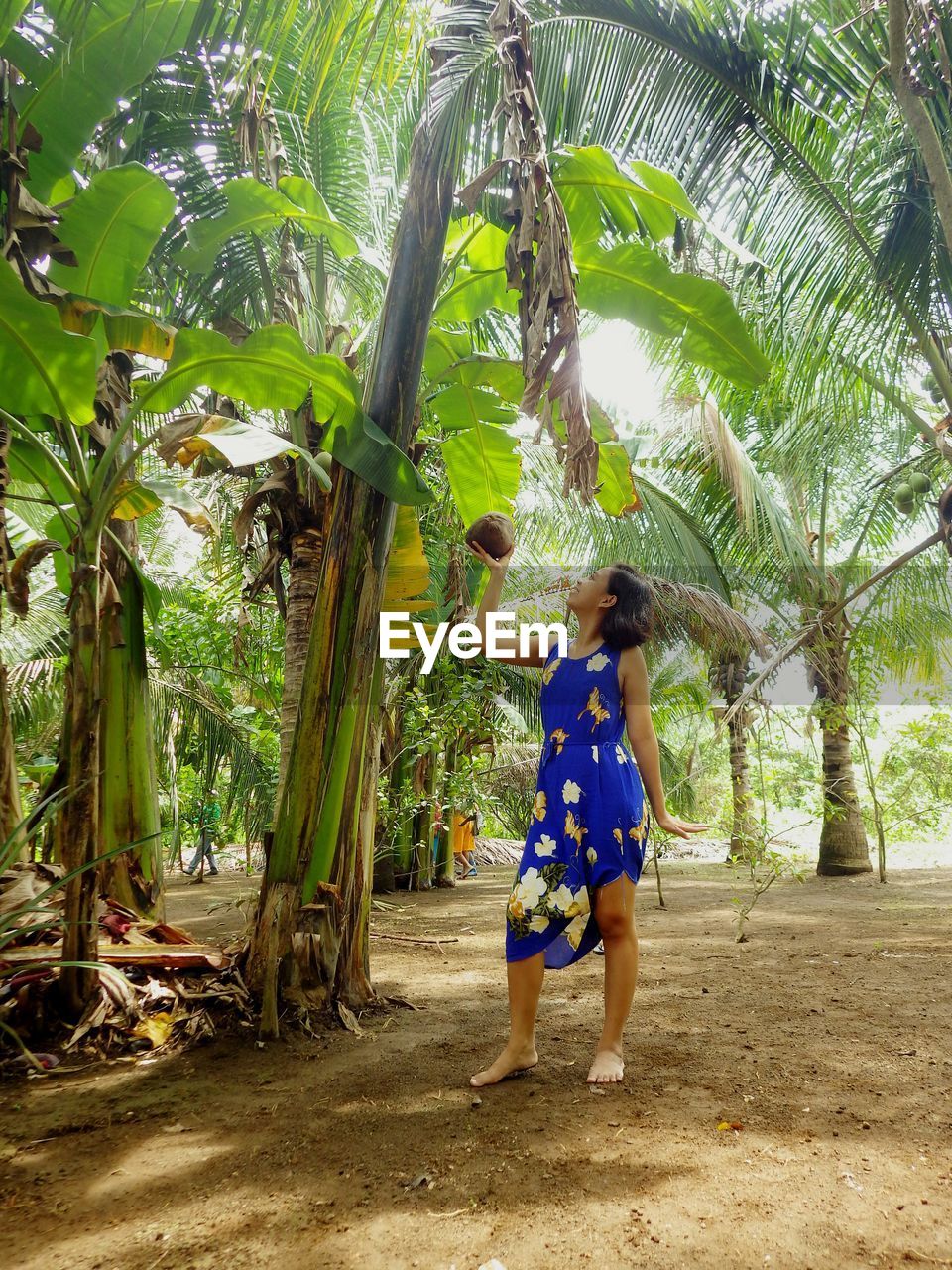 Woman holding coconut while standing by tree