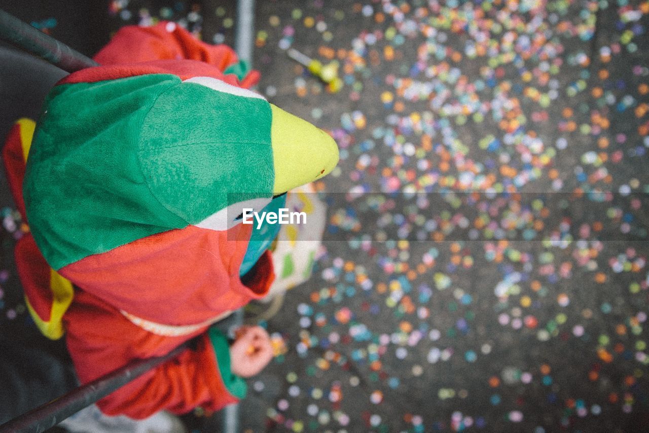 Directly above shot of person wearing parrot costume at carnival