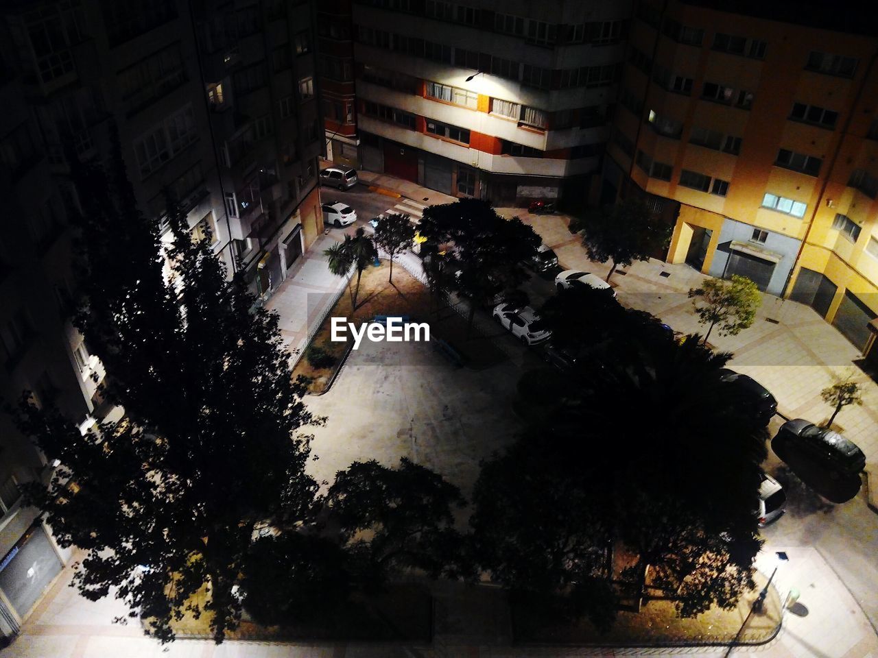 High angle view of tree and illuminated street by buildings at night