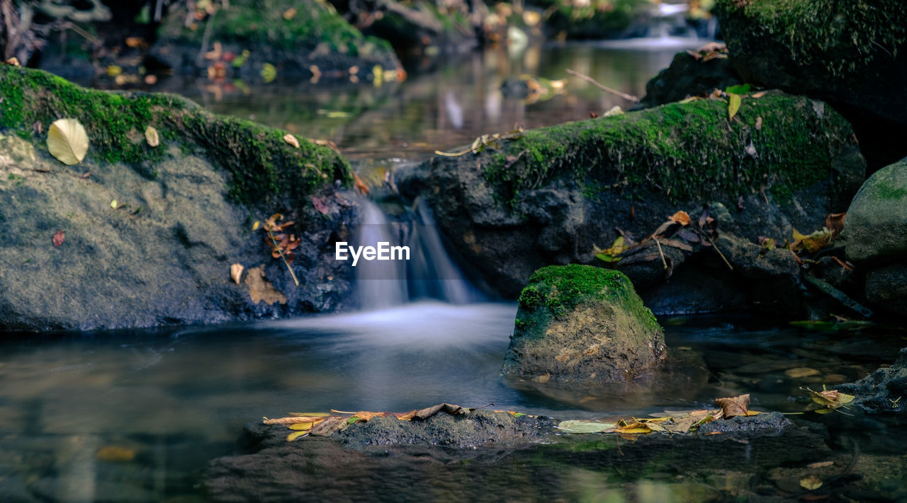 Scenic view of waterfall in forest