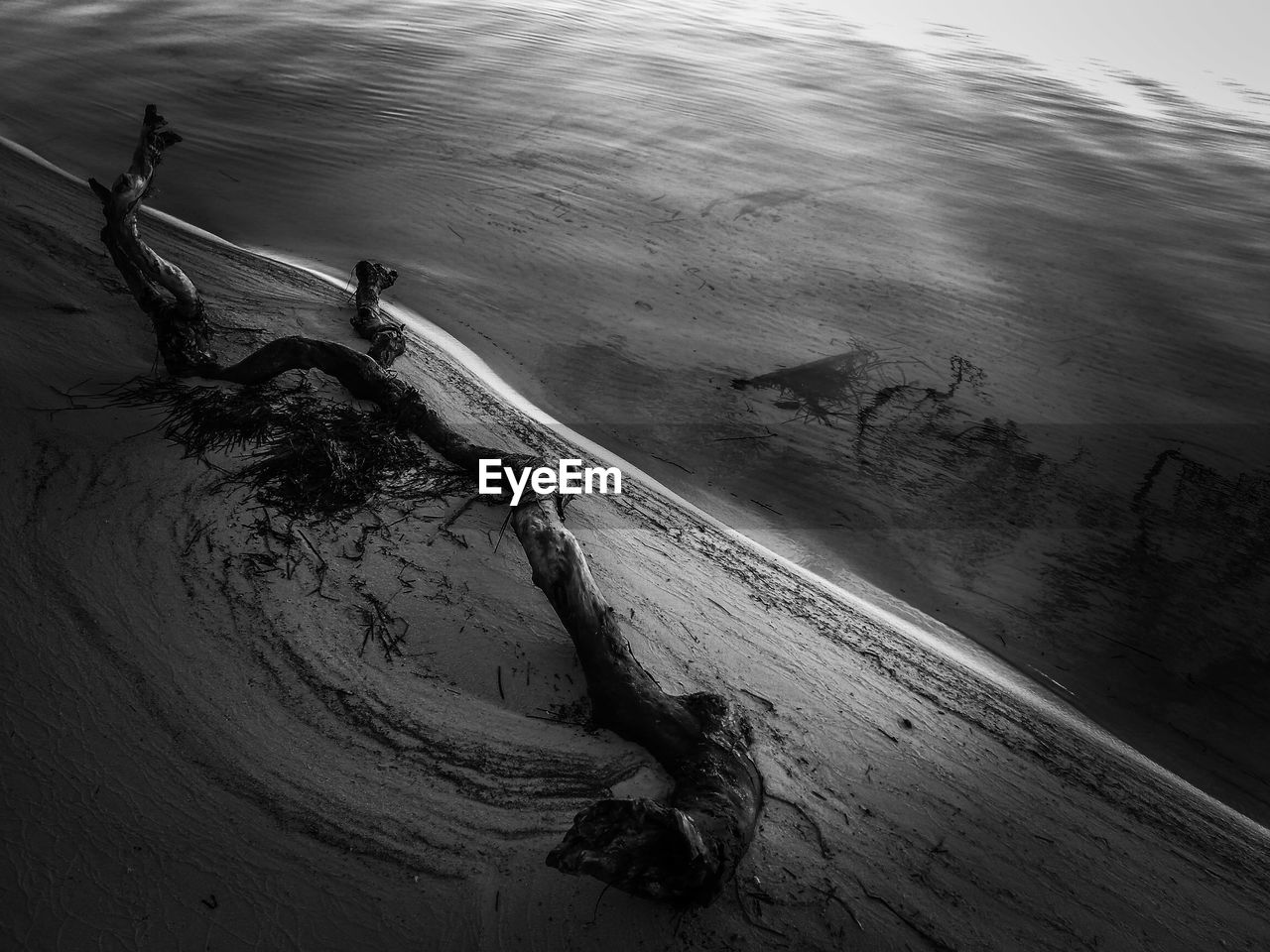 High angle view of driftwood in sand