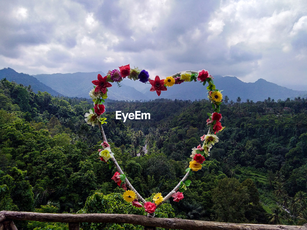 RED FLOWERING PLANTS AGAINST TREES AND MOUNTAINS