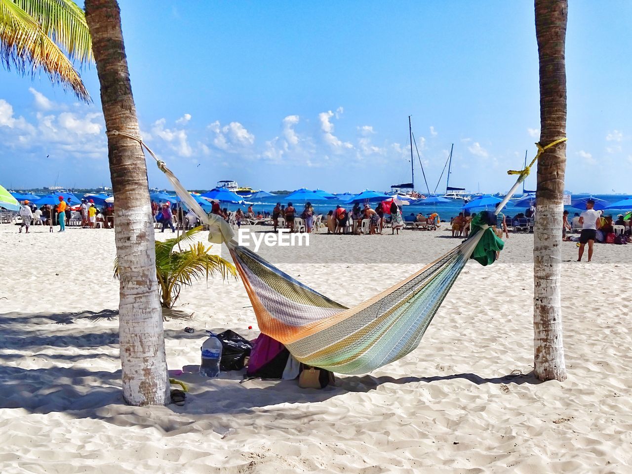 Hammock hanging on trees against people at beach