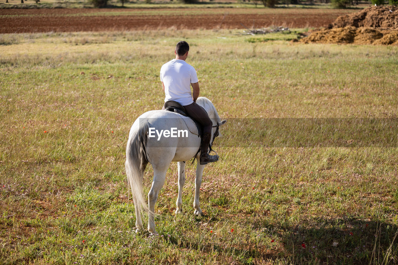 REAR VIEW OF MAN RIDING HORSE IN FIELD