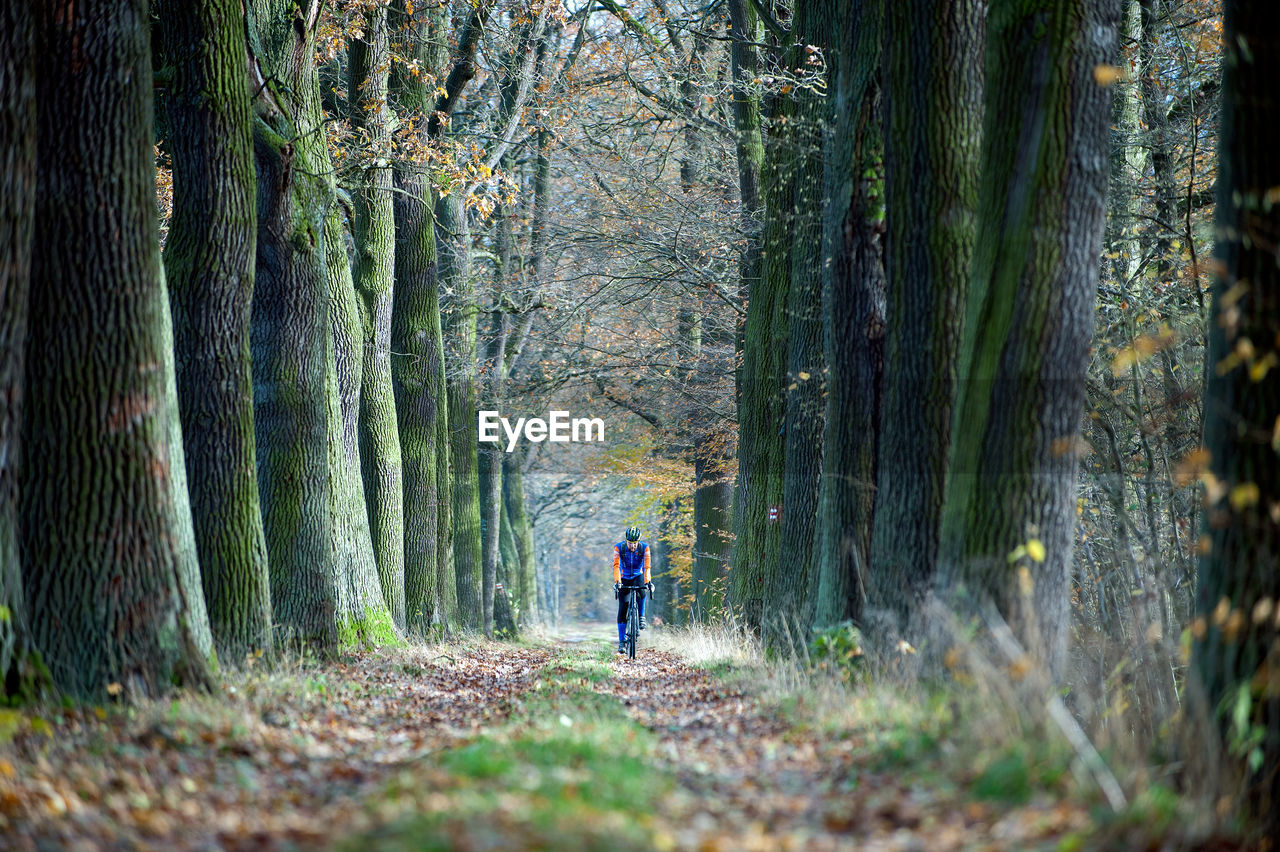 FULL LENGTH REAR VIEW OF MAN WALKING ON FOOTPATH IN FOREST