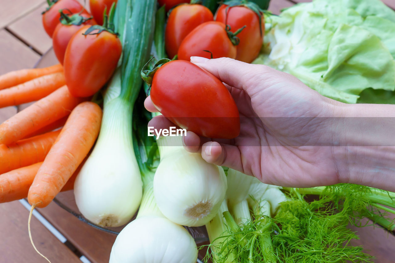CLOSE-UP OF HAND OF VEGETABLES