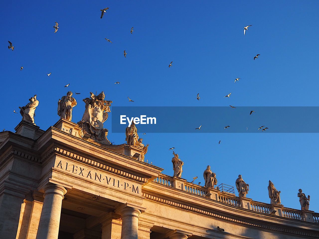 Low angle view of sacred statues and flying birds over st. peter's square