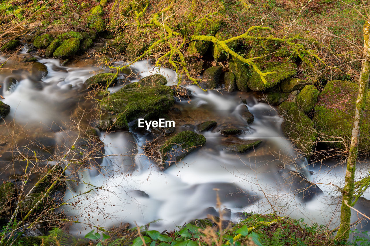 High angle view of the river flowing through the woods at watersmeet in devon