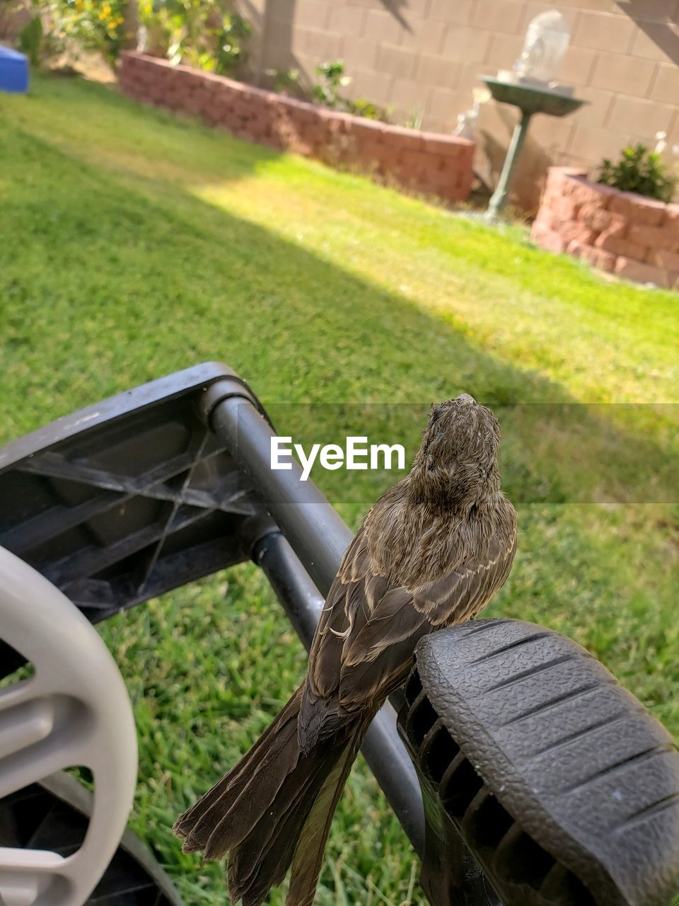 REAR VIEW OF MAN SITTING ON BENCH AT PARK