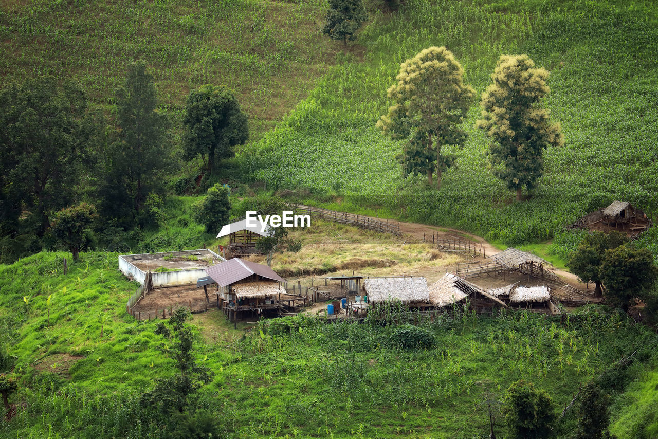 Mountain landscape, wooden house on a slope,