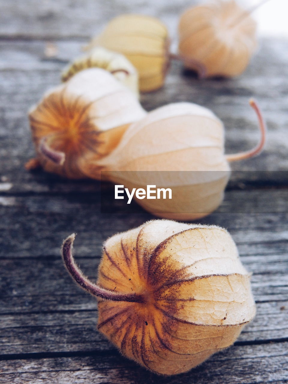 Close-up of winter cherries fallen on wooden plank