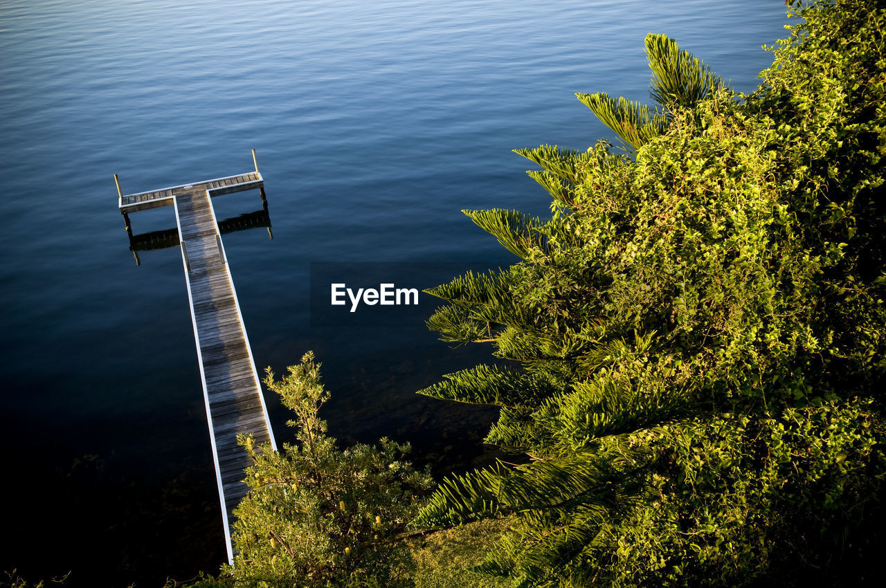 HIGH ANGLE VIEW OF TREE BY SEA AGAINST SKY