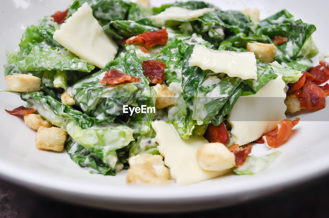 CLOSE-UP OF SALAD SERVED IN PLATE WITH SAUCE