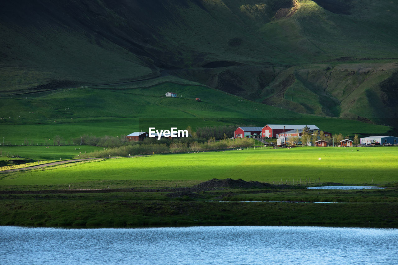 Scenic view of agricultural field