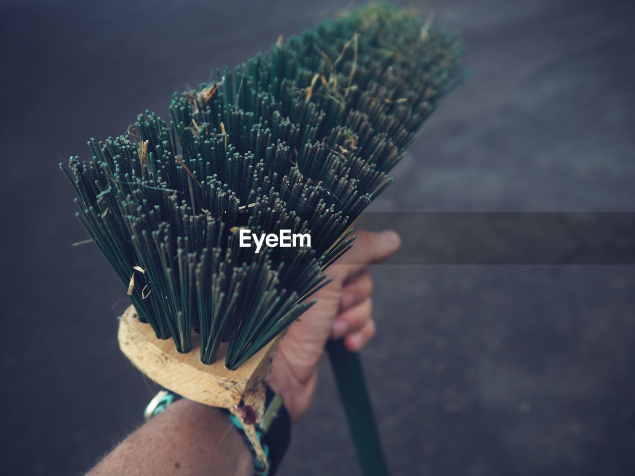 CLOSE-UP OF PERSON HOLDING LEAF