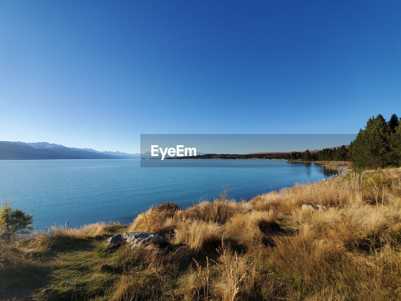 Scenic view of lake against clear blue sky