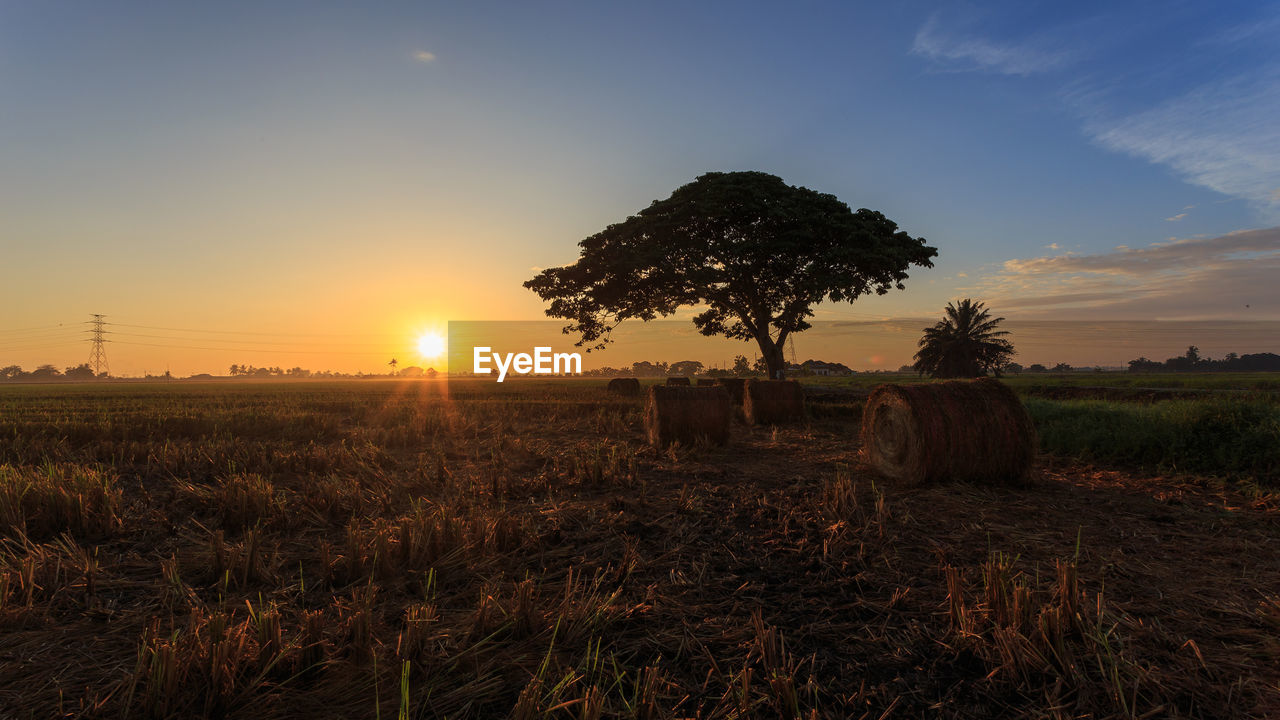 Hay bales on field against sky during sunset