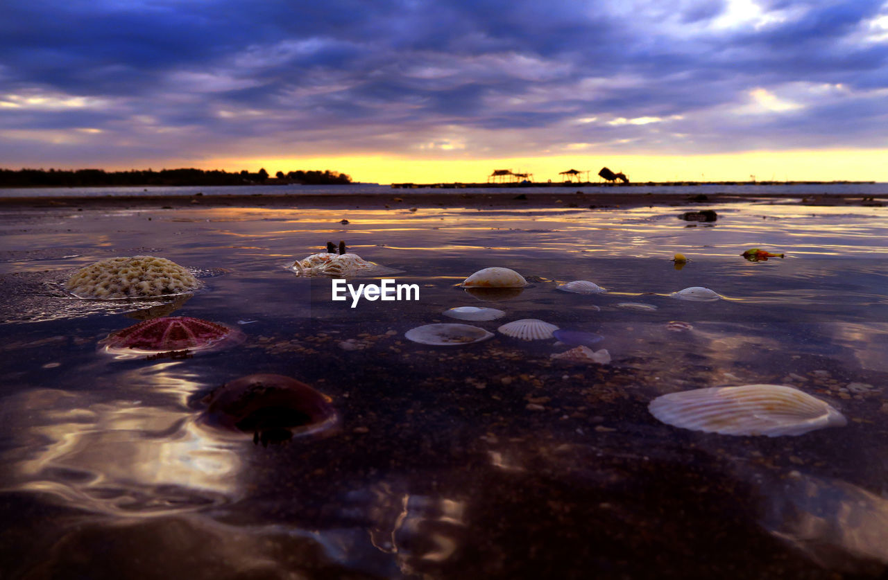 Scenic view of dramatic sky over sea