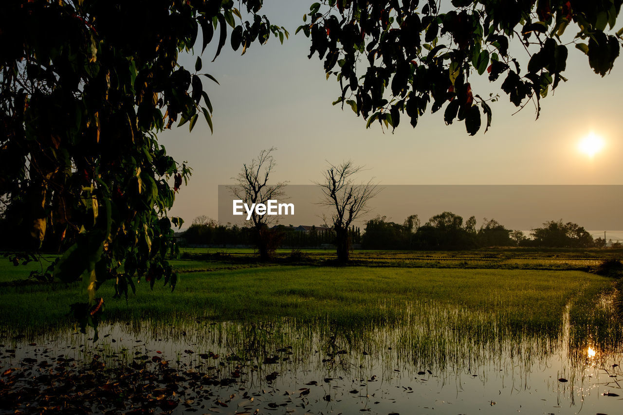 Scenic view of lake against sky during sunset