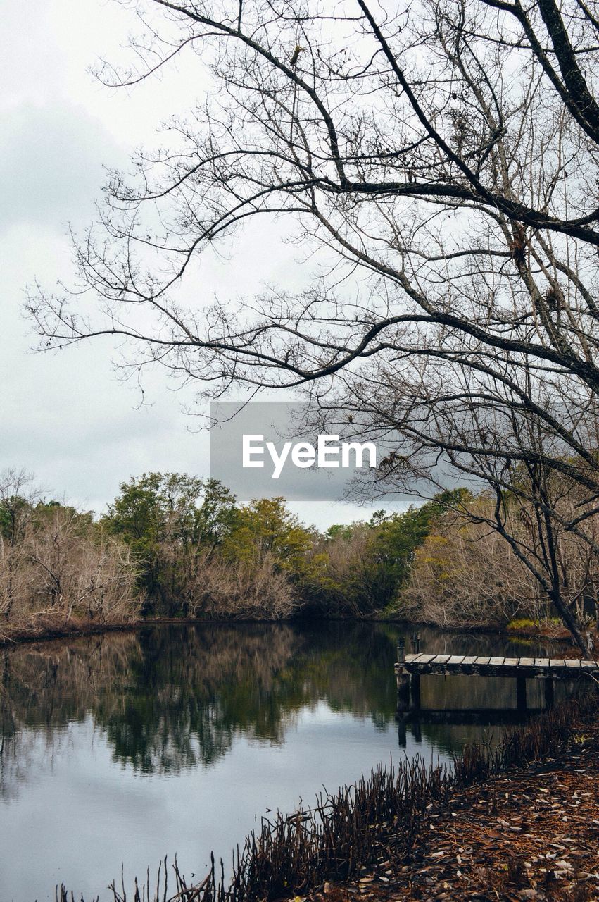 TREES BY LAKE AGAINST SKY