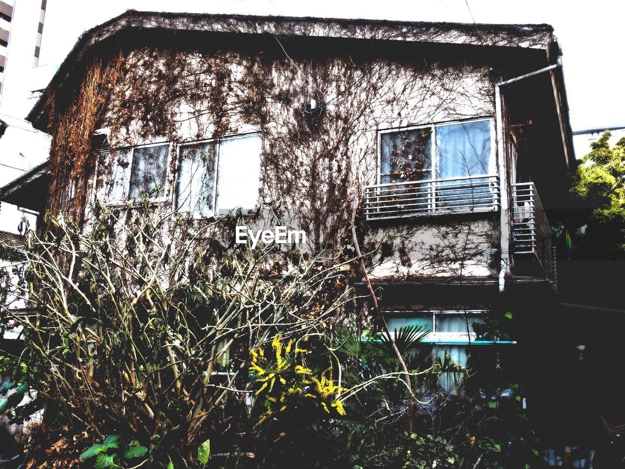 LOW ANGLE VIEW OF OLD HOUSE