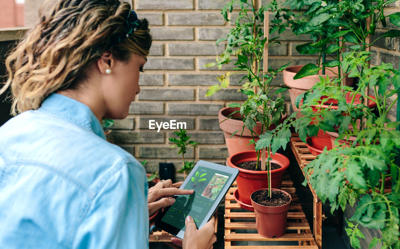 Woman scanning plants by artificial intelligence for tips on caring her urban garden on terrace