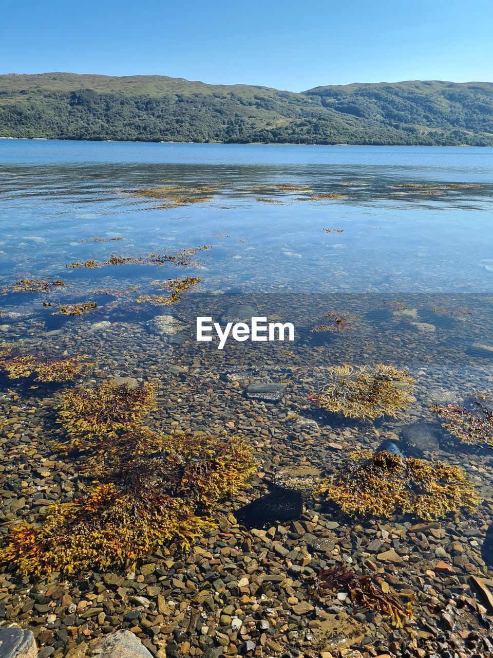 SCENIC VIEW OF LAKE AGAINST MOUNTAIN