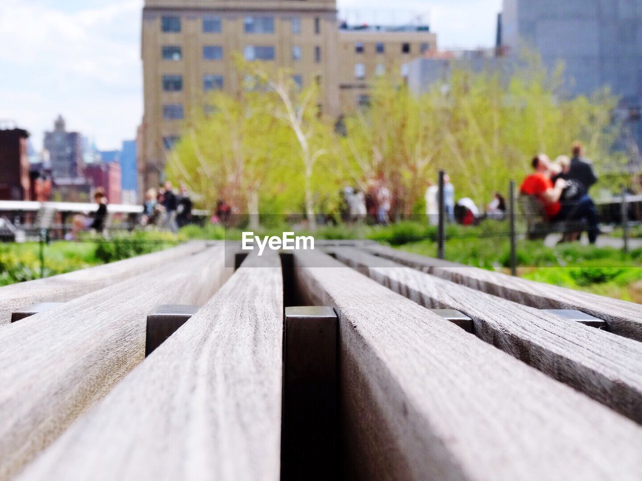 SURFACE LEVEL OF BENCHES BY TREES AGAINST SKY