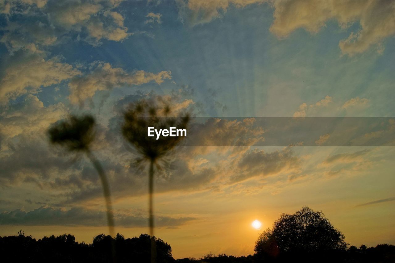 LOW ANGLE VIEW OF SKY DURING SUNSET