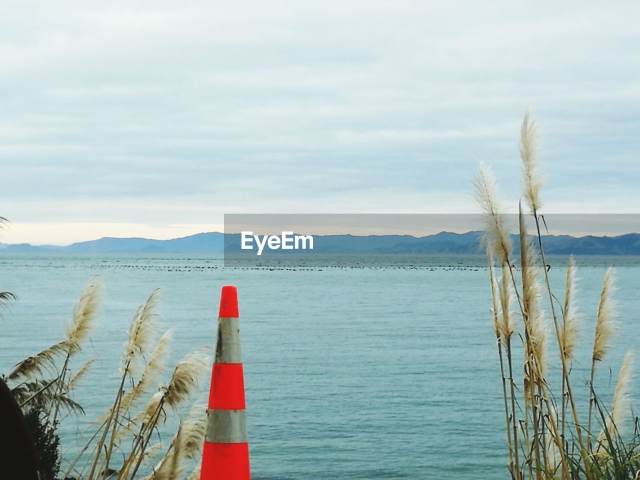 CLOSE-UP OF WOODEN POST IN SEA