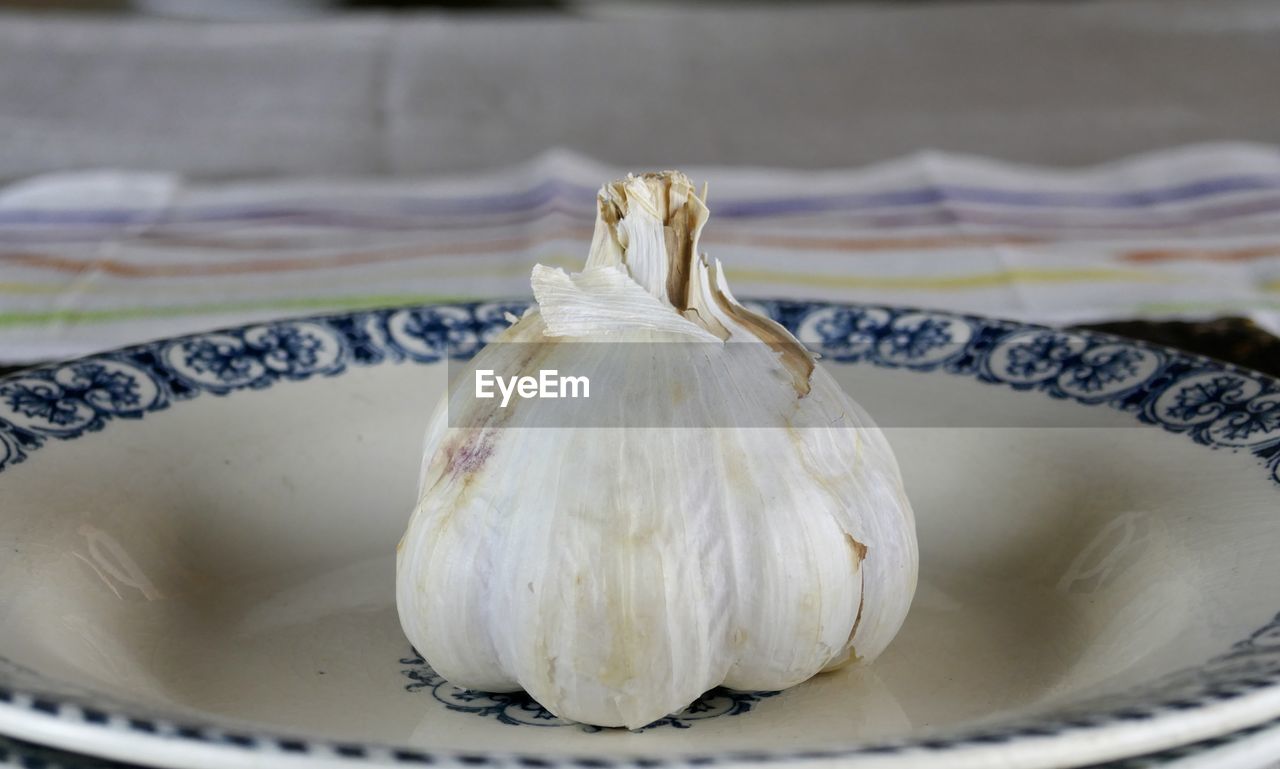 CLOSE-UP OF WHITE GARLIC