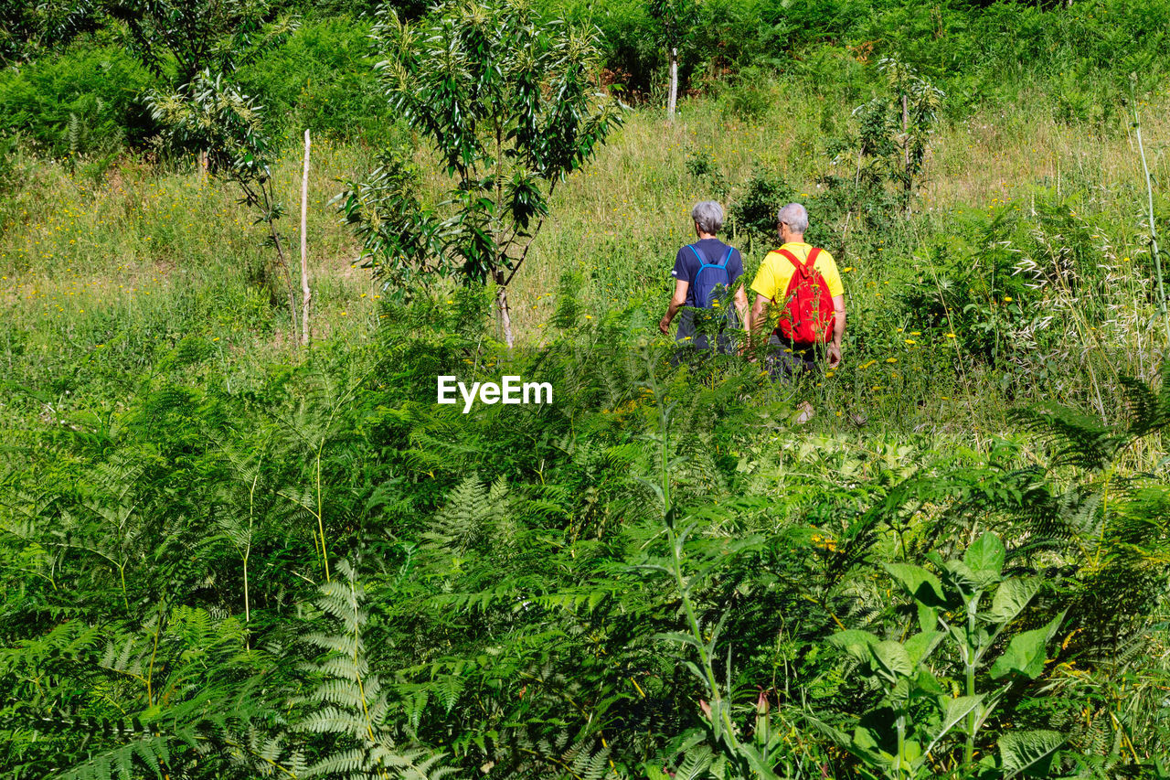 REAR VIEW OF MEN WALKING ON FIELD