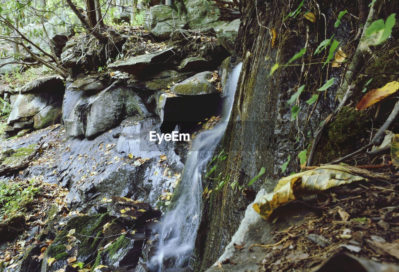 View of waterfall in forest