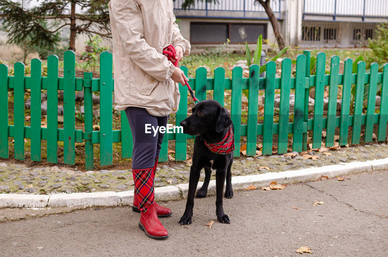 Woman and her big black dog - in an elegant outfit - in an autumn walk