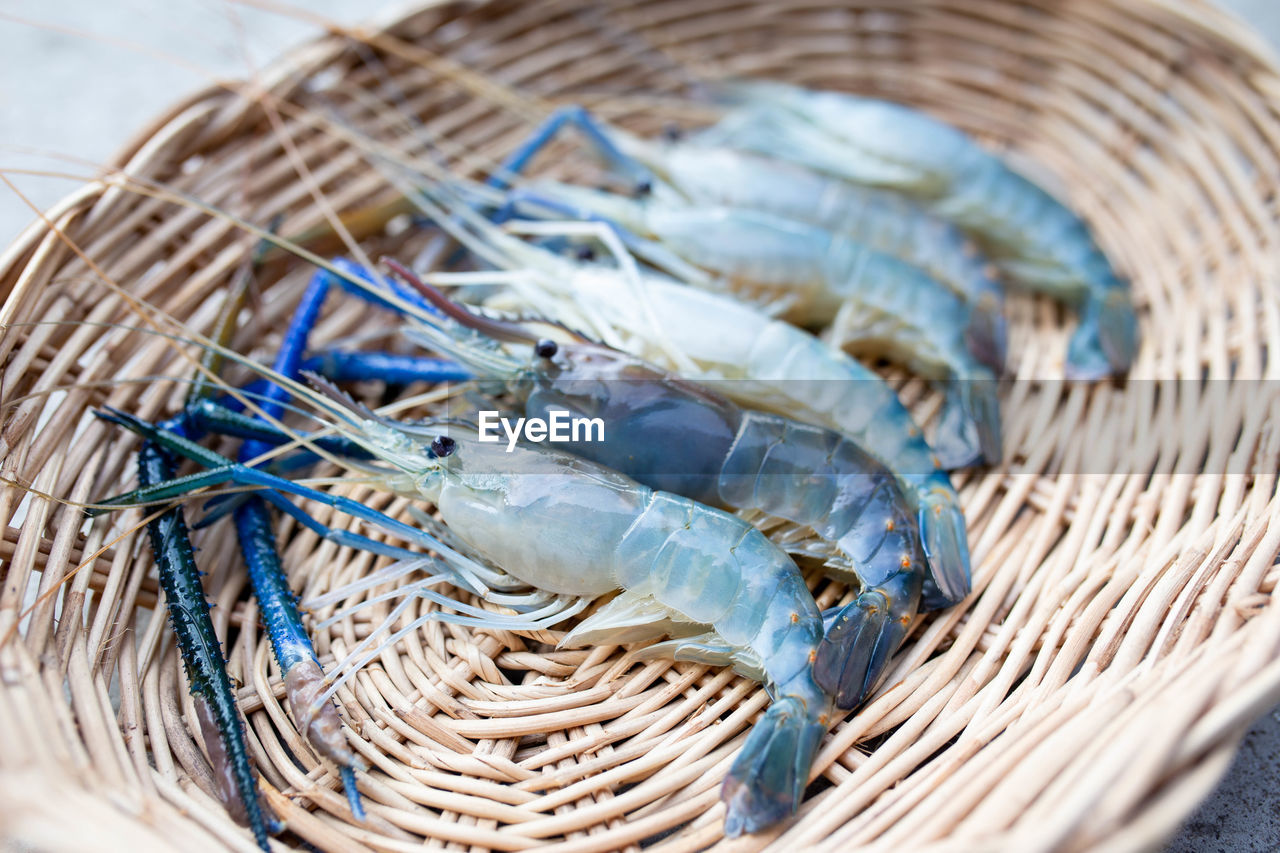CLOSE-UP OF FISH IN WICKER BASKET